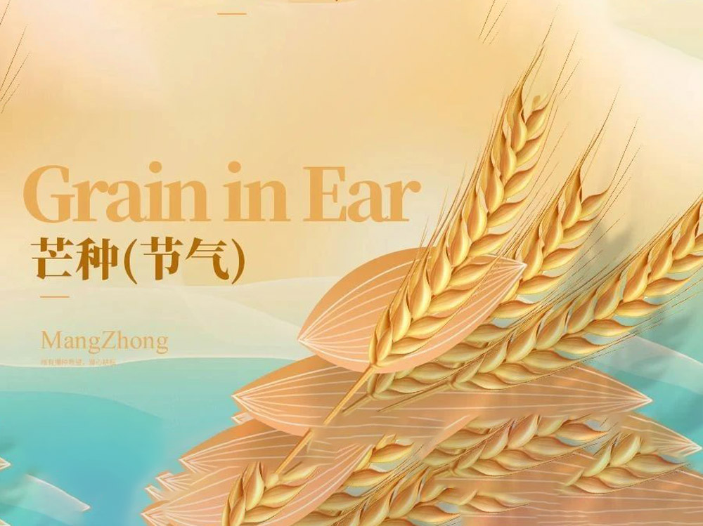 博恩節(jié)氣∣芒種養(yǎng)生 重在補(bǔ)脾祛濕