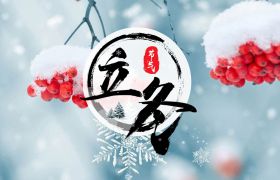 節(jié)氣∣立冬——雁聲入夢涼，山月各蒼茫