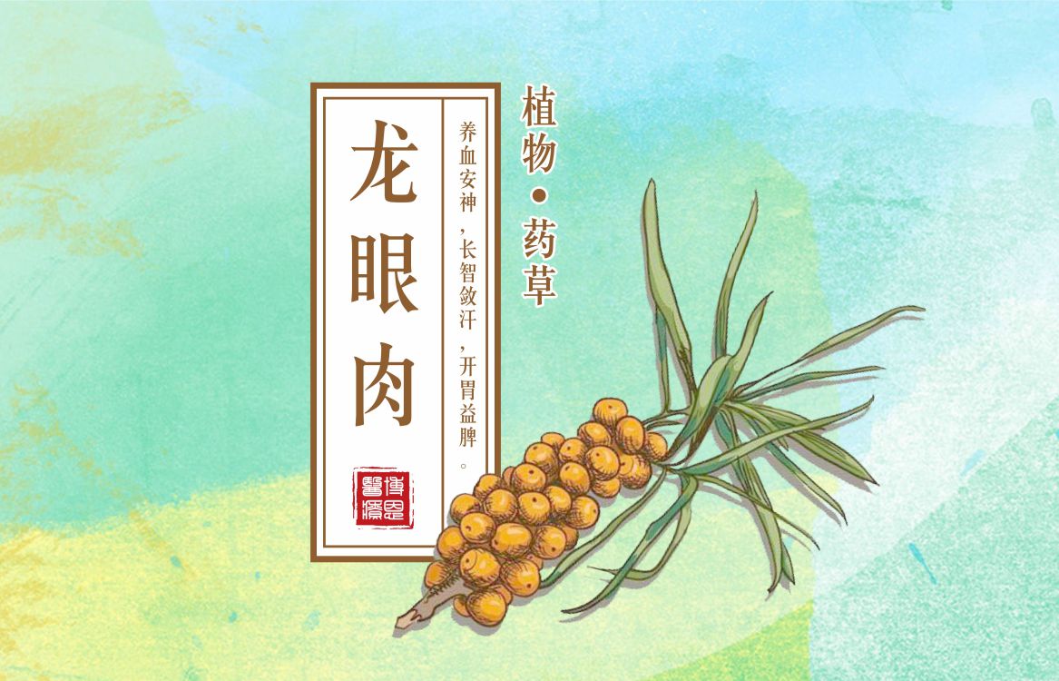 國醫(yī)文化∣龍眼肉