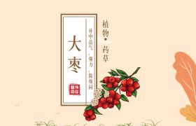 國醫(yī)文化 ∣ 補中益氣，強力，除煩悶的大棗