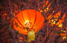 節(jié)氣|雨水和元宵的美麗邂逅——猜燈謎、舞板龍、放花燈......