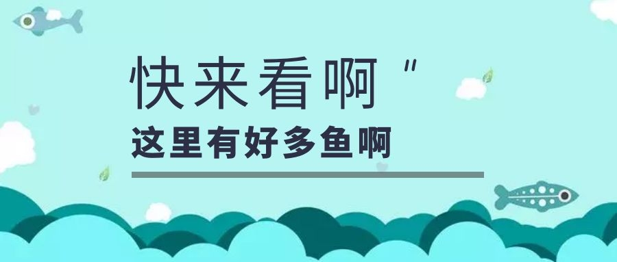 養(yǎng)生四季∣秋季滋補(bǔ) 六種魚類必不可少